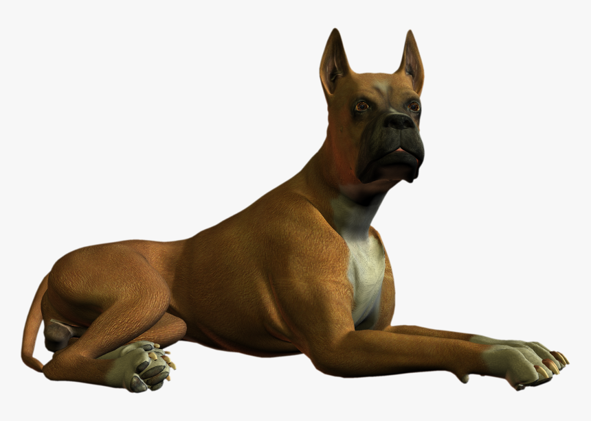 Dog Png Higher Resolution - Dog High Resolution Image Transparent, Png Download