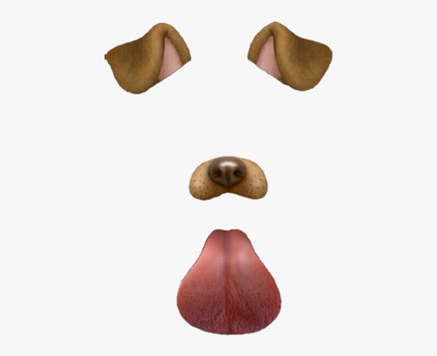 Dog Filter Png Snapchat Dog Filter Transparent Png Transparent Png Dog Filter Png Snapchat Dog Filter Transparent Png Transparent Png