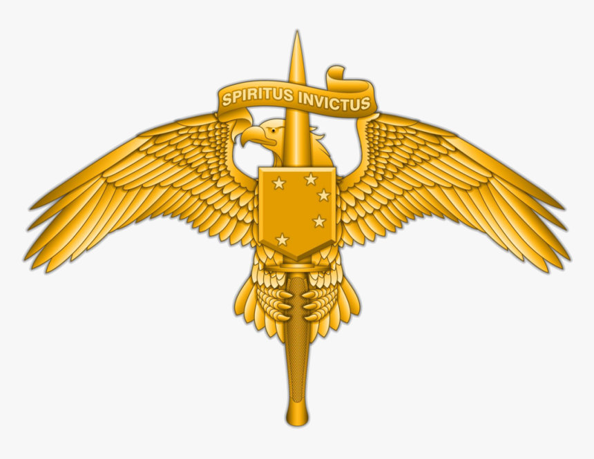Marine Raider Insignia, HD Png Download