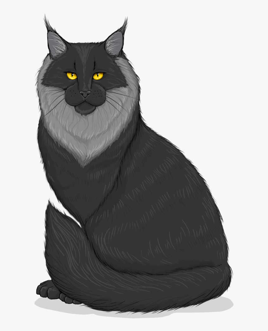 Black Cat, HD Png Download