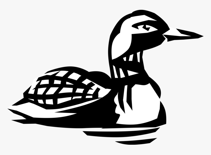 Vector Illustration Of North American Aquatic Diving - Loon Vector, HD Png Download