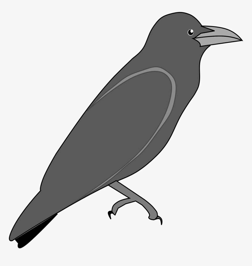 Raven Png - Outline Image Of Crow, Transparent Png