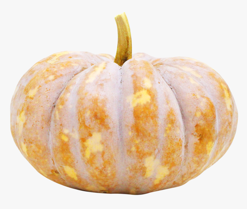 Png Images Of Pumpkin, Transparent Png