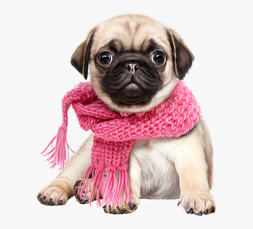 Transparent Pugs Clipart - Pug Png, Png Download