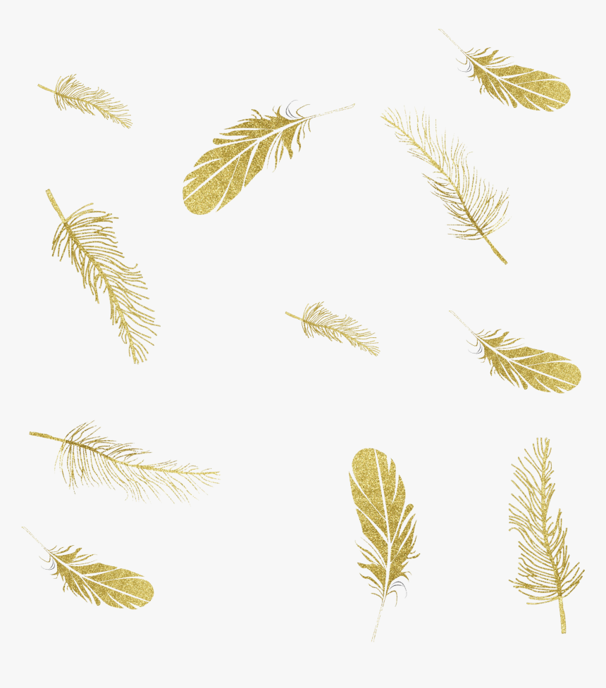 Feather Graphics Ink Portable Network Png File Hd Clipart - Falling Feathers Gold Png, Transparent Png