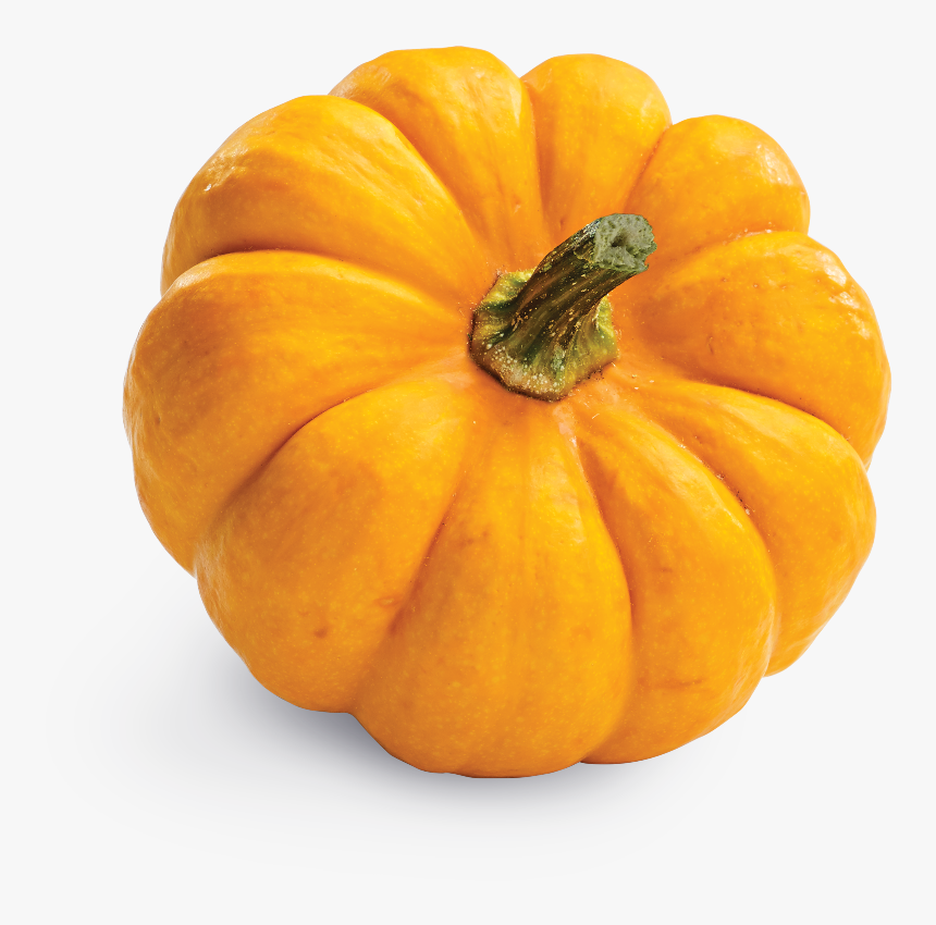 With Real Chicken, And Accents Of Blueberries, Pumpkin, - Pumpkin Png, Transparent Png