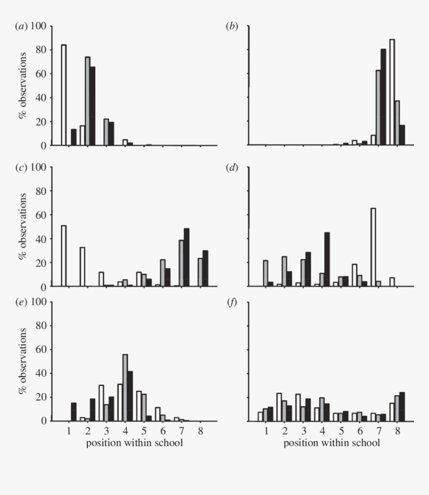 Diagram, HD Png Download