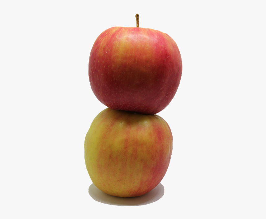 Apple, Fruit, Png, Food, Fresh, Healthy, Nutrition - Mcintosh, Transparent Png