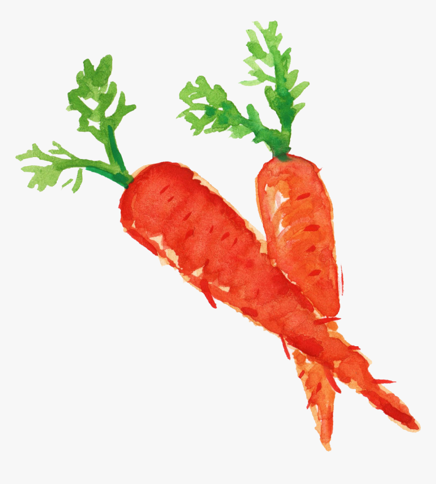 Carrots Png Healthy Food, Transparent Png