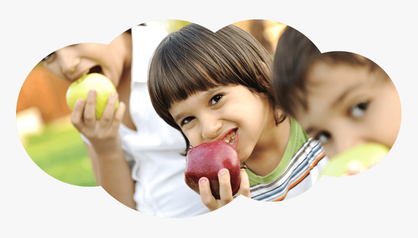 Healthy Foods For Kids Png - New Zealand Free Lunch, Transparent Png