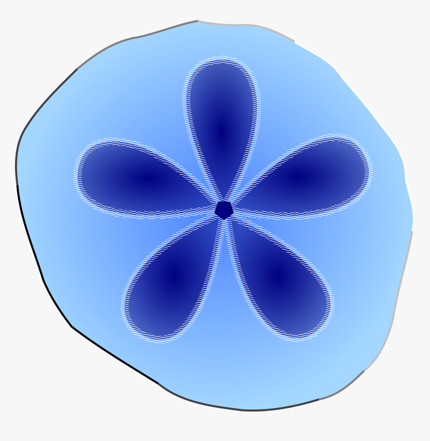 Clipart Sand Dollar - Conceptual Framework For Product Development, HD Png Download