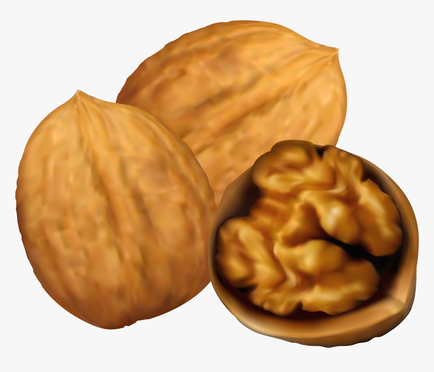Collection Of 14 Free Nut Clipart Art Bill Clipart - Walnuts Clipart, HD Png Download