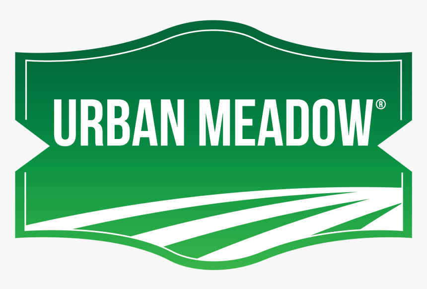 You Will Be More Disappointed, HD Png Download