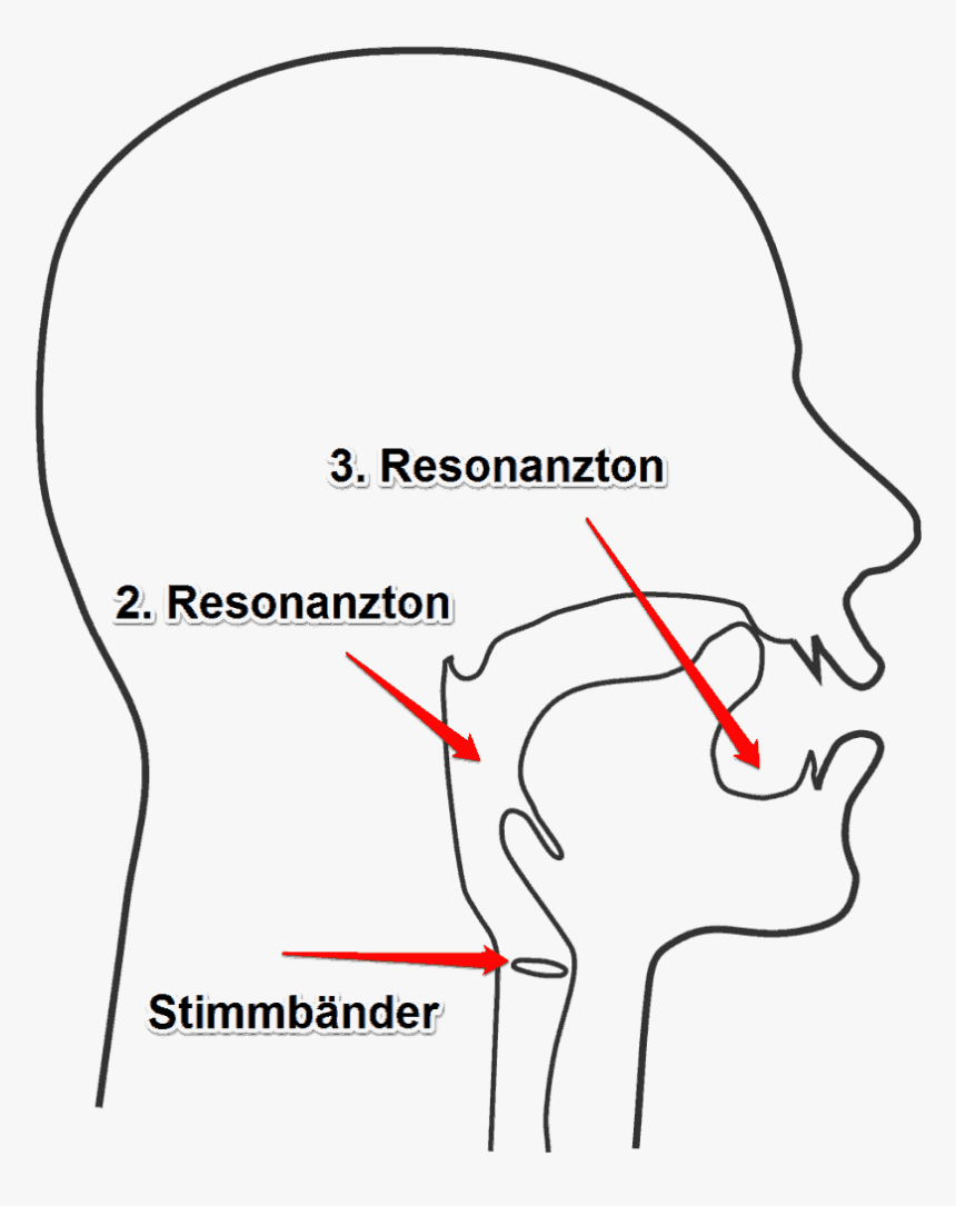 Rosto Do Bob Esponja, HD Png Download