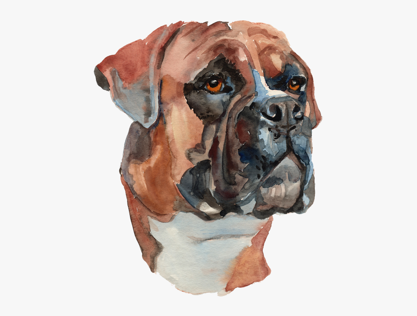 Water Color Painted Dog Png - Hand Painted Boxer Dog, Transparent Png