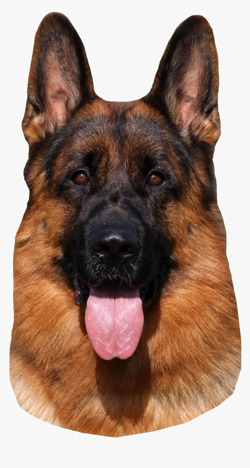 German Shepherd Dog Png Hd, Transparent Png