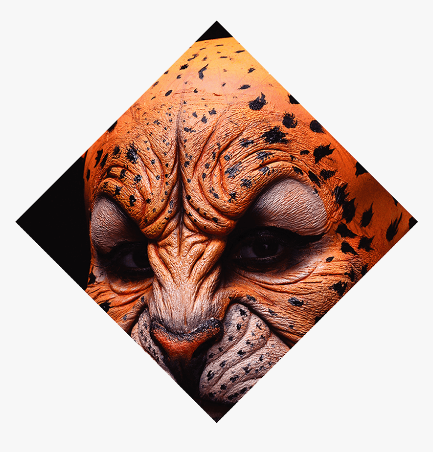 Tiger, HD Png Download