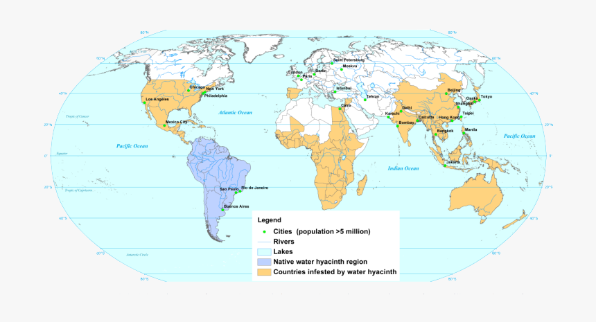 Military Bases Of Turkey, HD Png Download