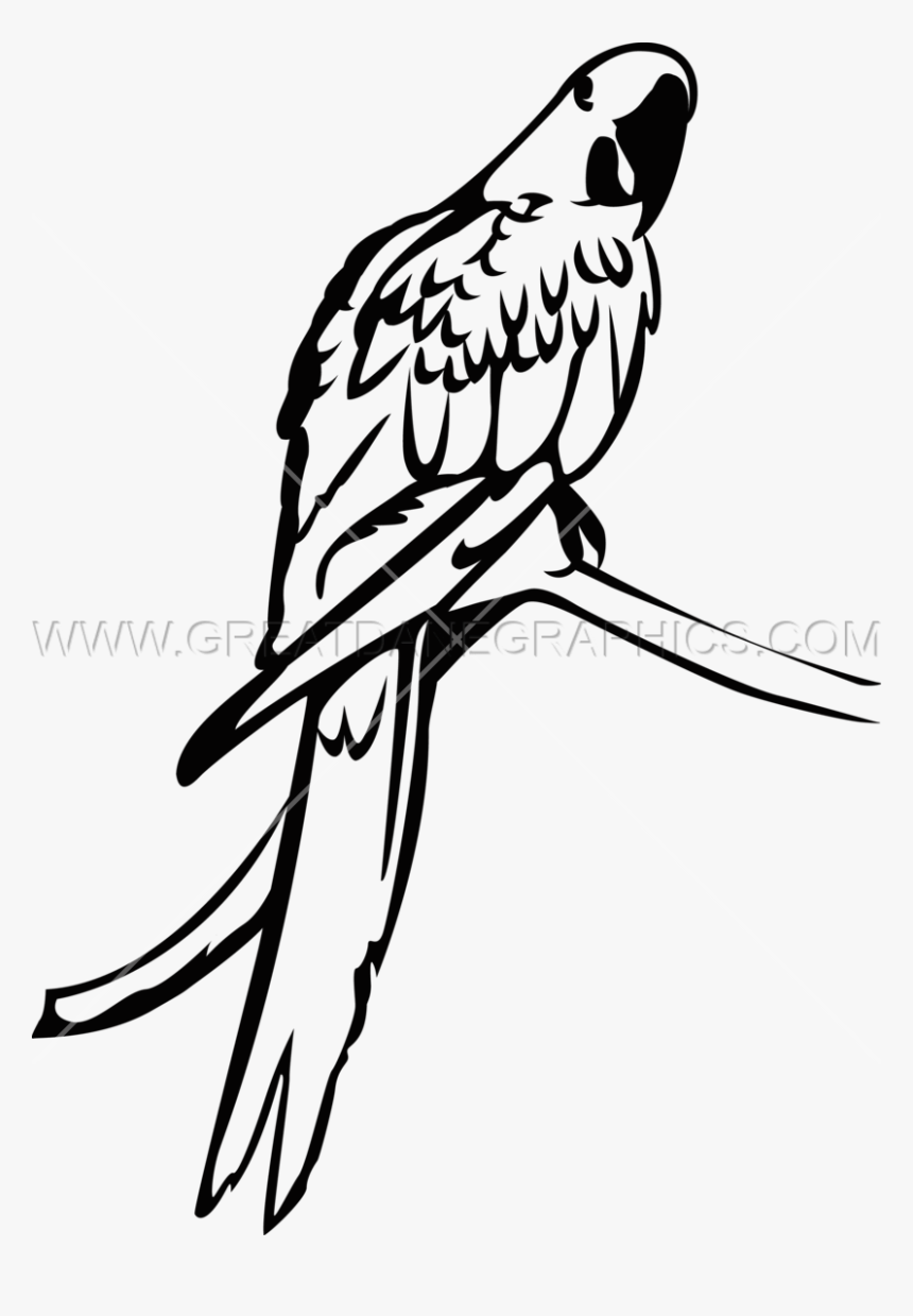 Macaw Clipart Hyacinth Macaw, HD Png Download