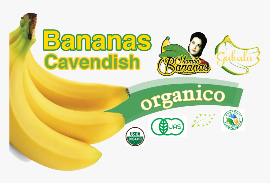 Saba Banana, HD Png Download