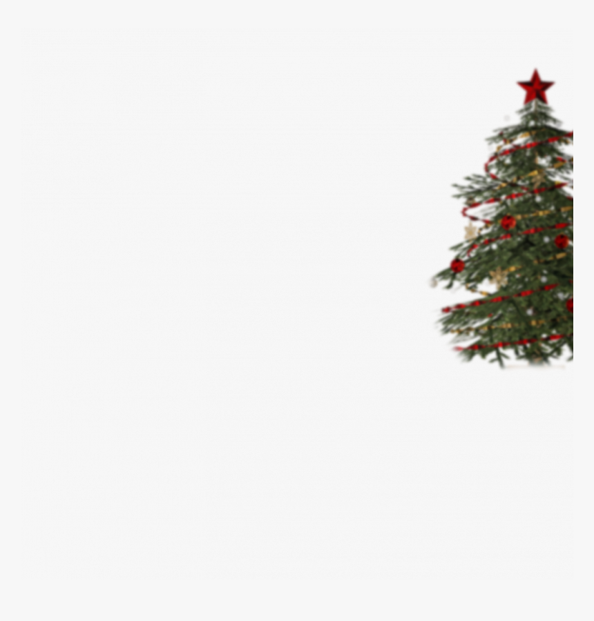 Decorated Christmas Tree Png Transparent, Png Download