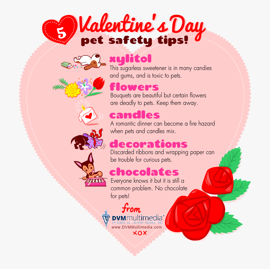Dvm-valentine - Valentines Pet Safety Tips, HD Png Download