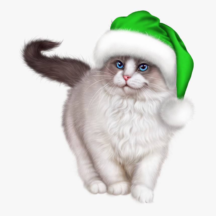 Christmas Cat Png, Transparent Png