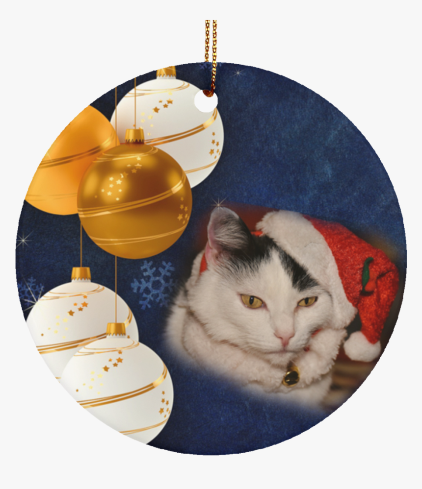Transparent Christmas Cat Png - Merry Christmas Cards 2019, Png Download