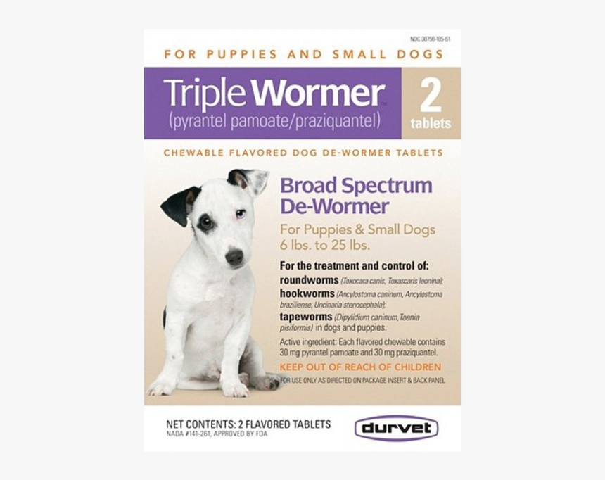 Companion Dog, HD Png Download