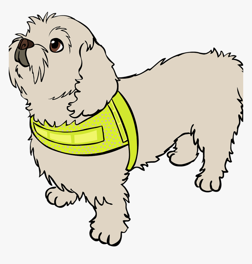 Lhasa Apso, HD Png Download