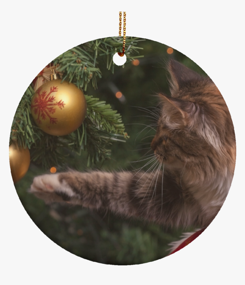 Christmas Cat Ornaments - Christmas Cat Meme, HD Png Download