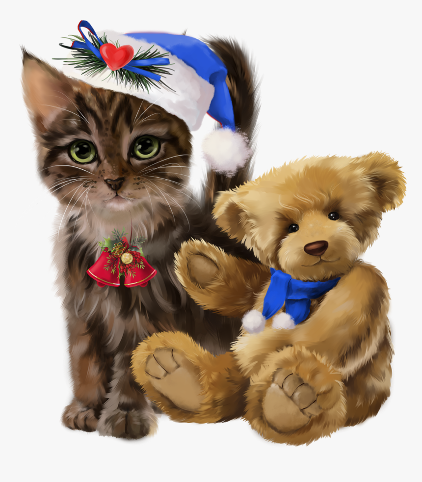 Cat, HD Png Download