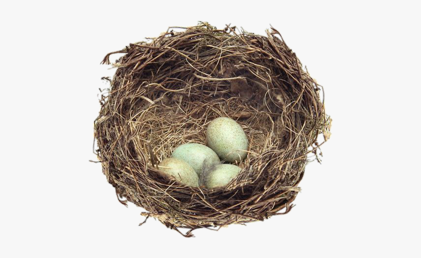 Image - Nestpng, Transparent Png