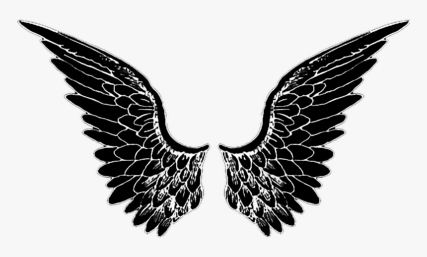 Black Angel Wings Png, Transparent Png