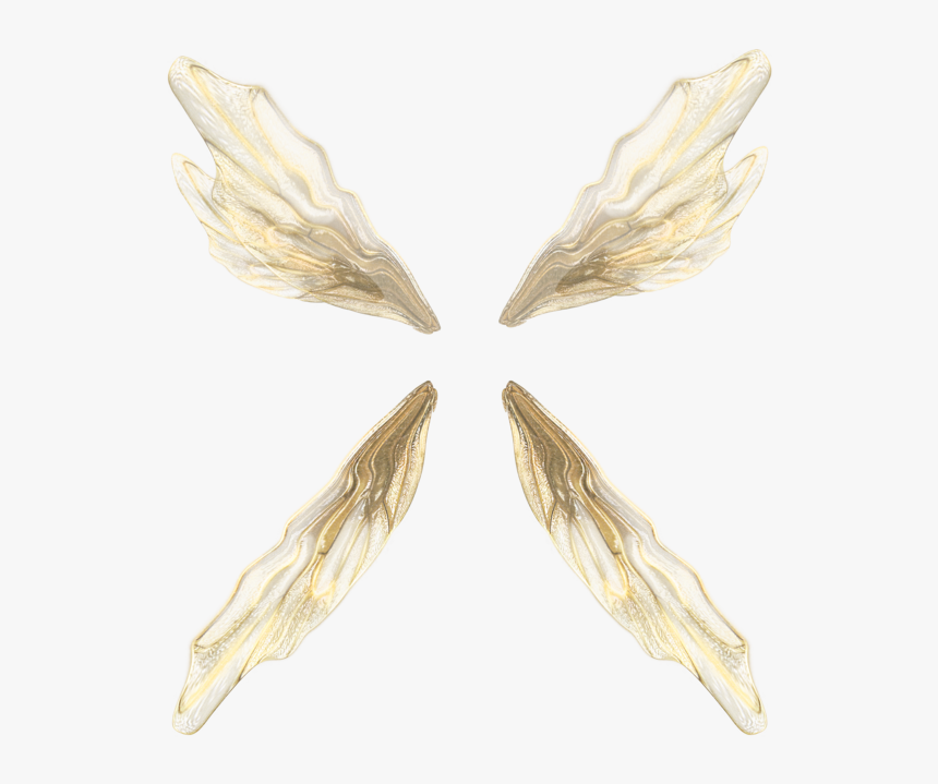 Insect, HD Png Download