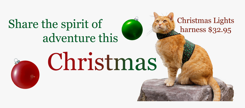 Christmas Cat Png, Transparent Png