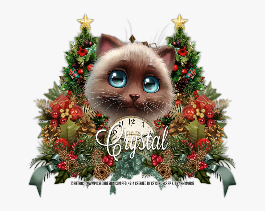 Christmas, HD Png Download