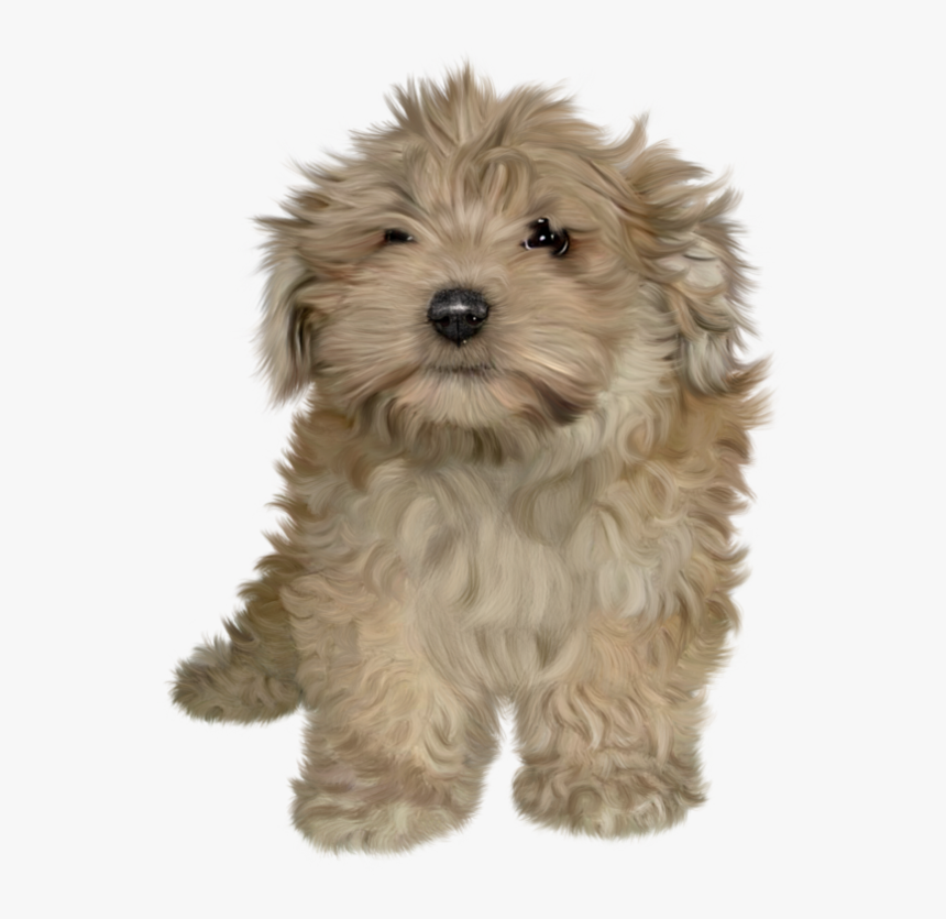 Transparent Background Puppy Png, Png Download