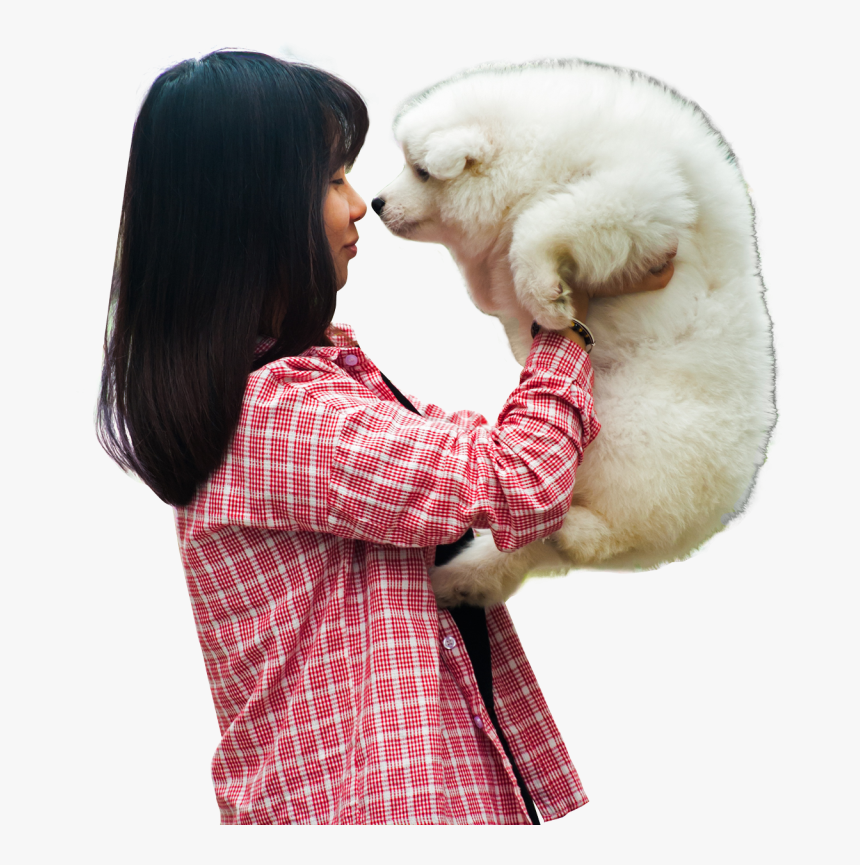 Woman Playing With A Puppy Dog Png Image - Png Dog, Transparent Png