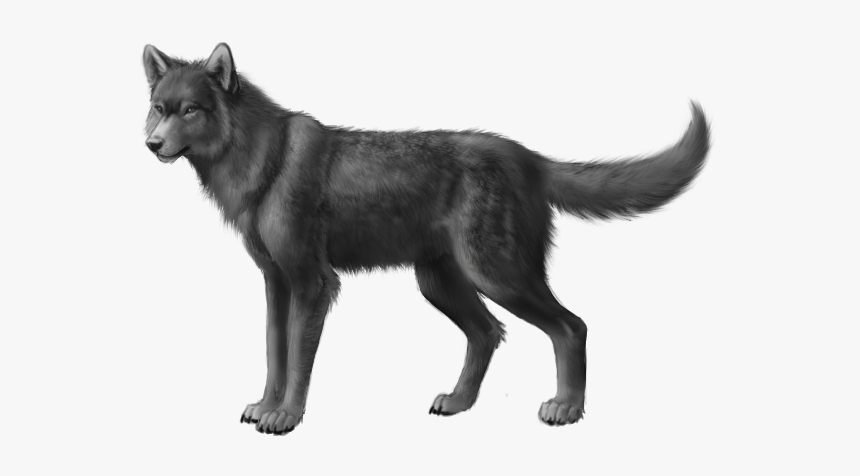 African Wild Dog Black, HD Png Download