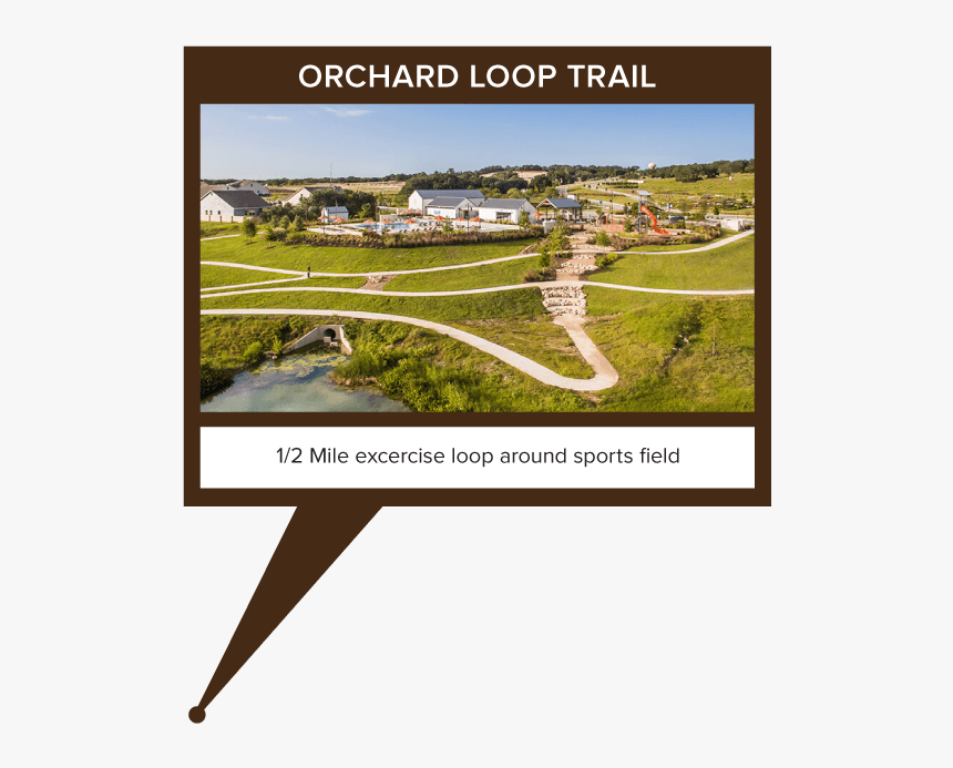 Grass, HD Png Download