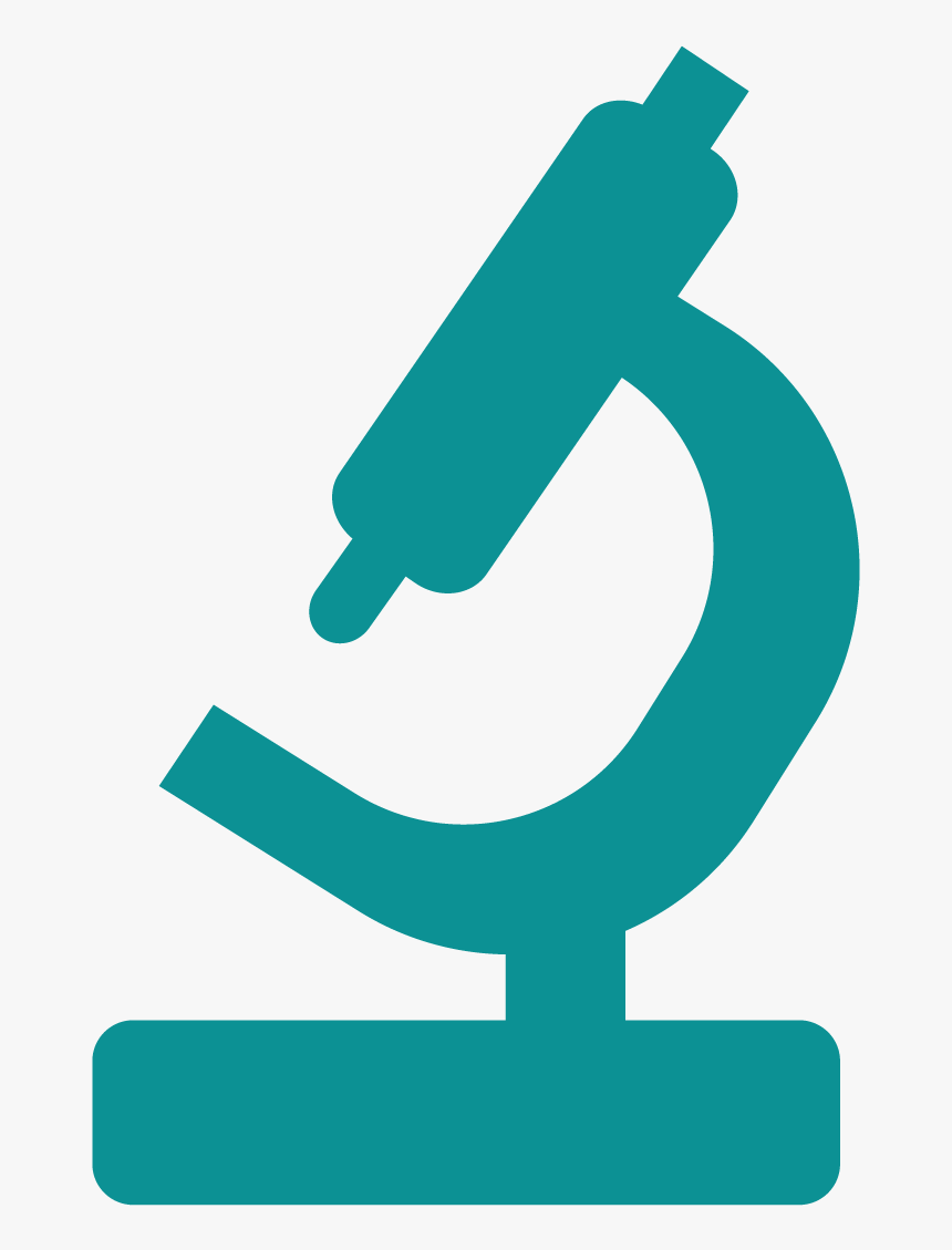 Real Birds Png - Innovation De Traitement De Sida, Transparent Png