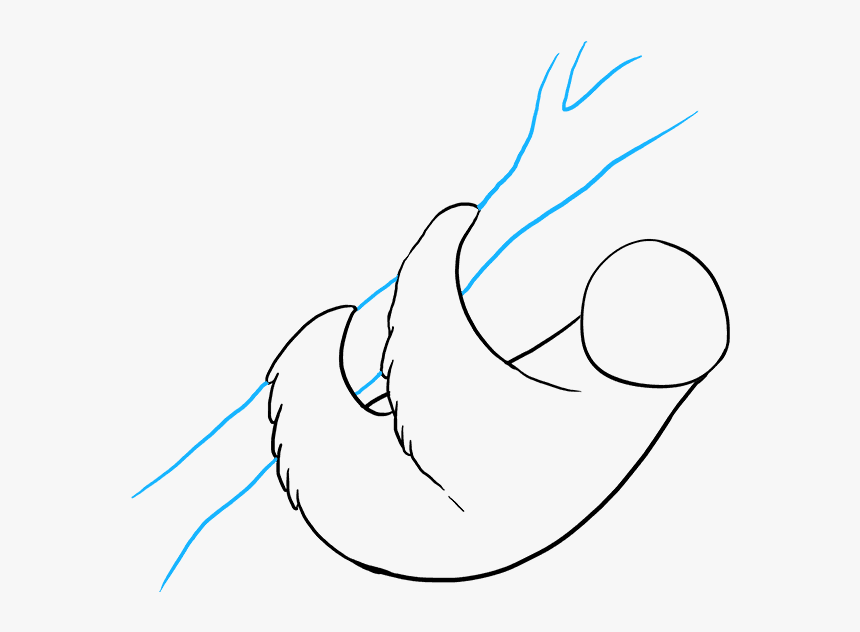 How To Draw Sloth, HD Png Download