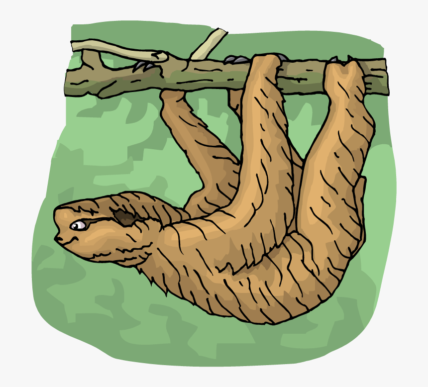 Sloth Clipart The Cliparts - Clip Art, HD Png Download