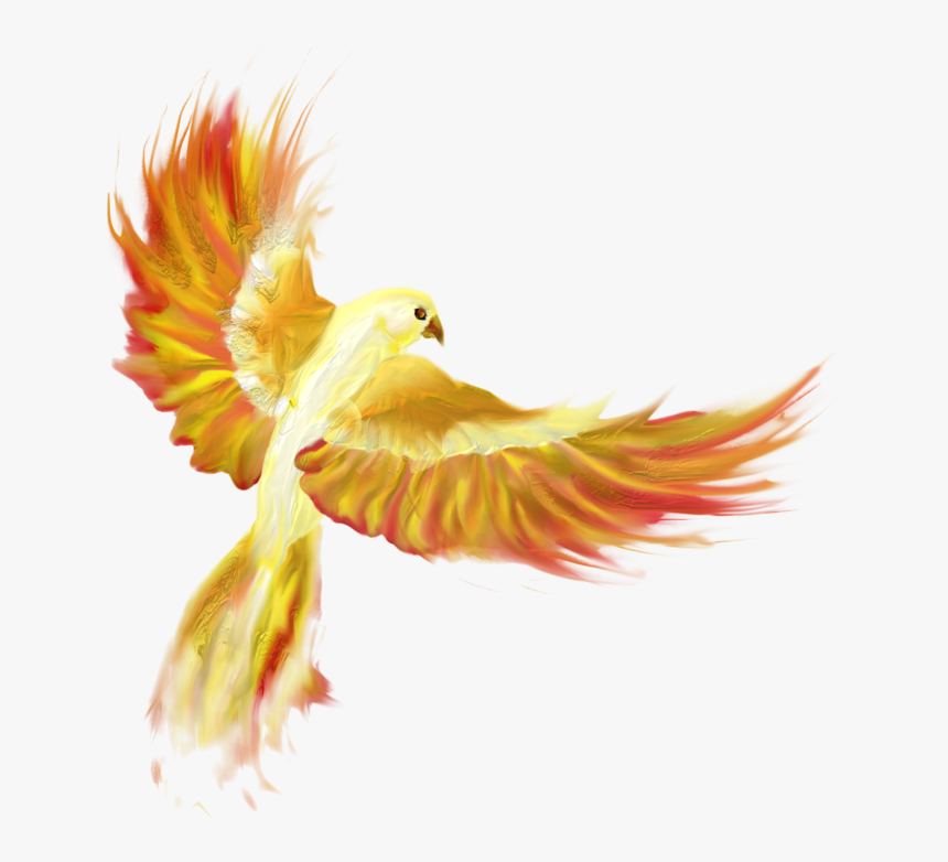 Thumb Image - Cat, HD Png Download