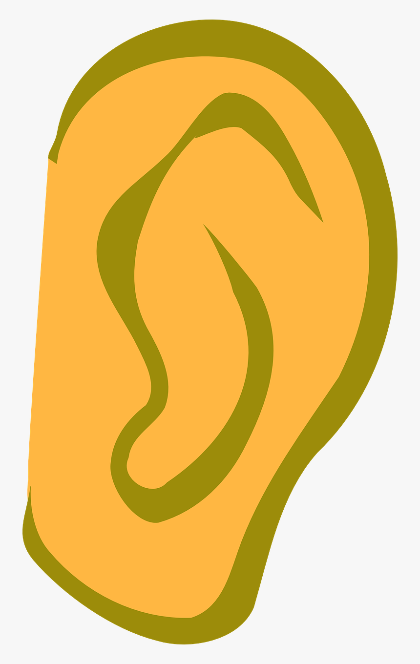 Transparent Background Ear Clipart, HD Png Download