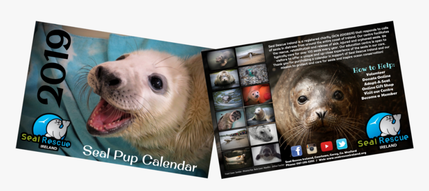 Now Half Price Our 2019 Calendar Is Now Only €5, HD Png Download