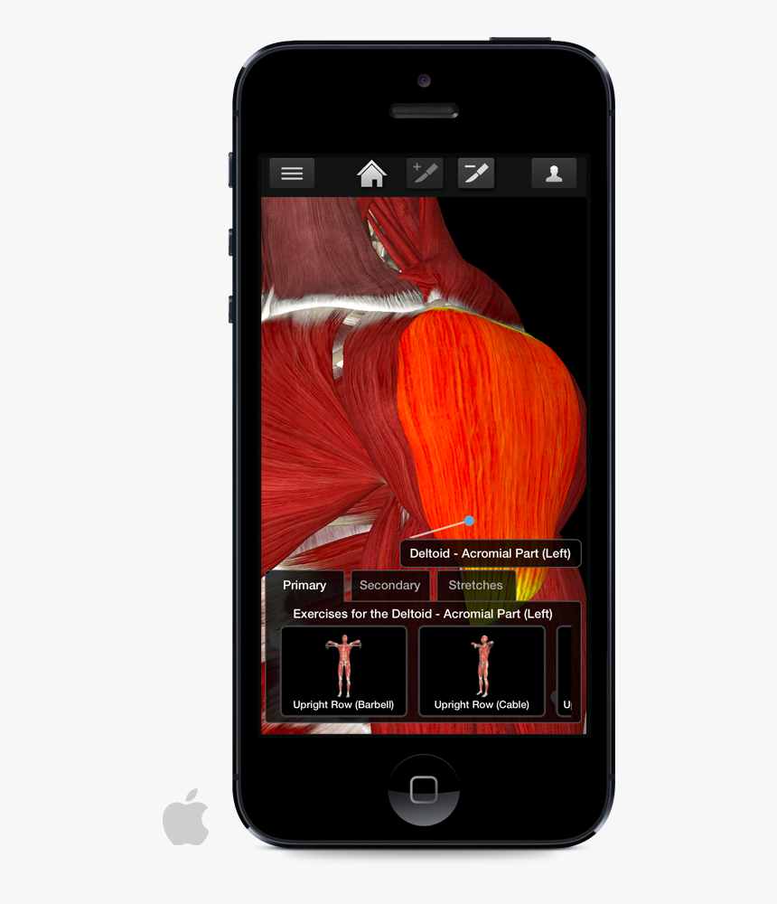 About - Iphone, HD Png Download