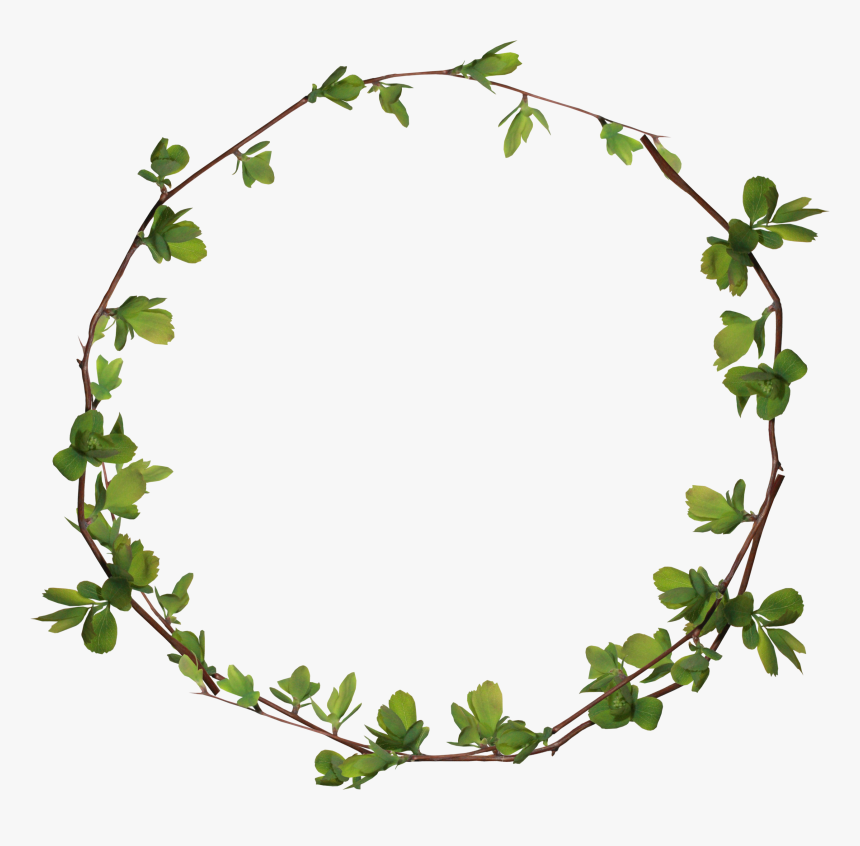 Clip Art Leaves Ring Transprent Png Free - Leaves Circle Png, Transparent Png