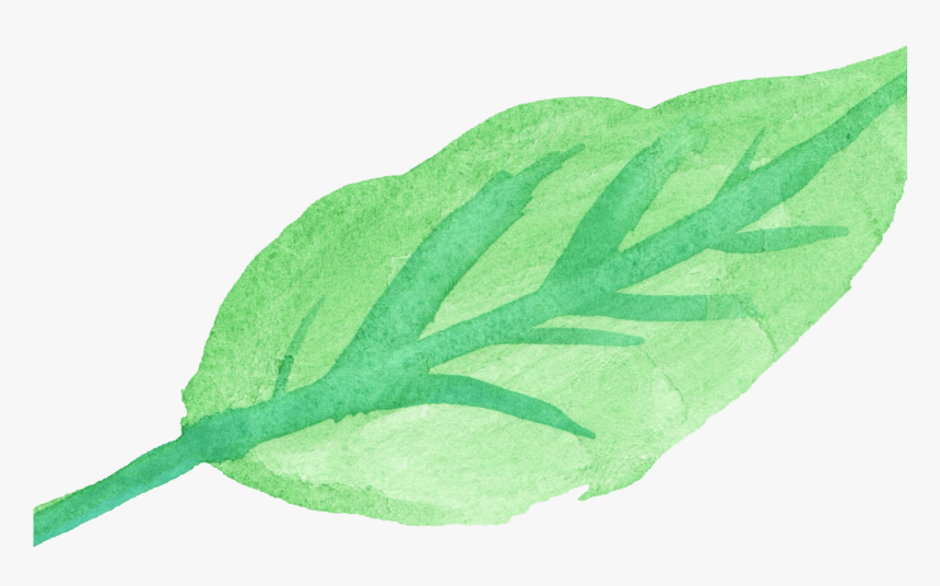 15 Watercolor Leaves Png For Free Download On Mbtskoudsalg, Transparent Png